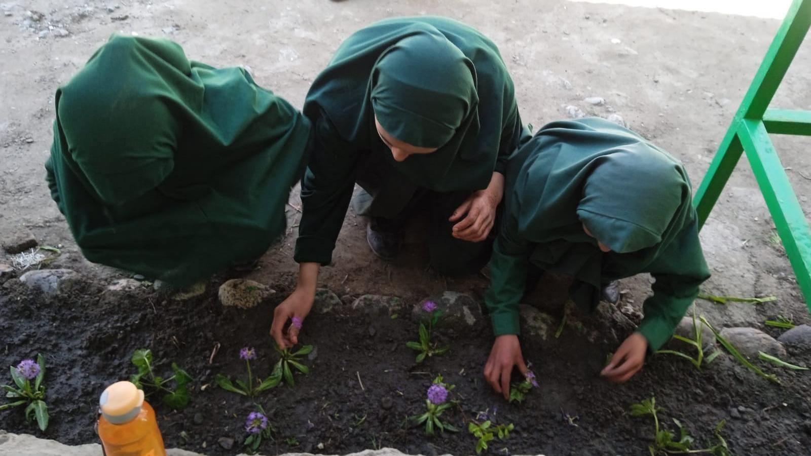 Plantation Drive organised in MPS Kanoor School