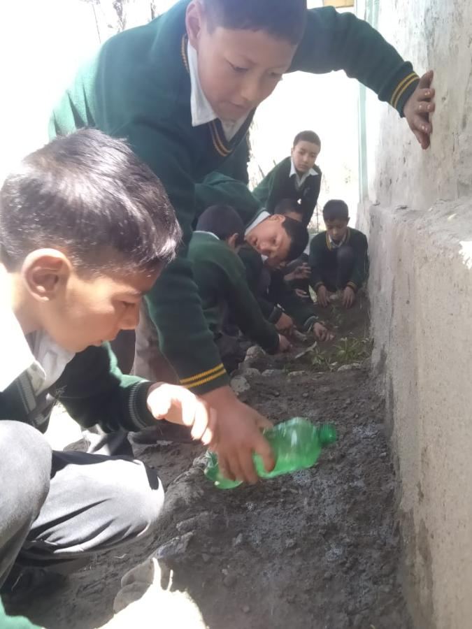 Plantation Drive organised in MPS Kanoor School